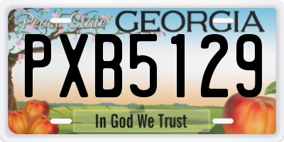 GA license plate PXB5129