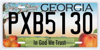 GA license plate PXB5130