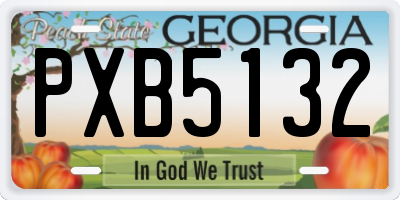 GA license plate PXB5132