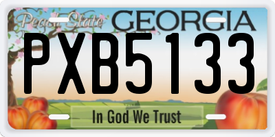 GA license plate PXB5133