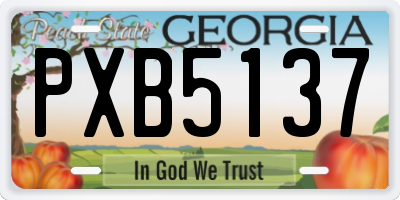 GA license plate PXB5137