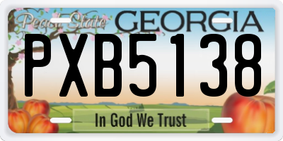GA license plate PXB5138