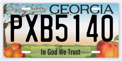 GA license plate PXB5140