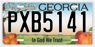 GA license plate PXB5141