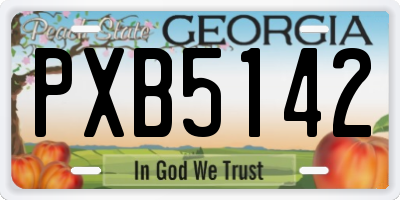 GA license plate PXB5142