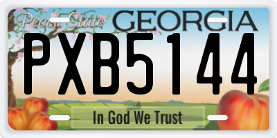 GA license plate PXB5144