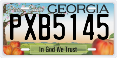 GA license plate PXB5145