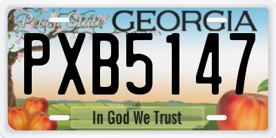 GA license plate PXB5147