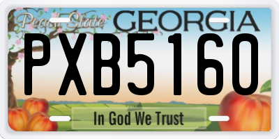 GA license plate PXB5160