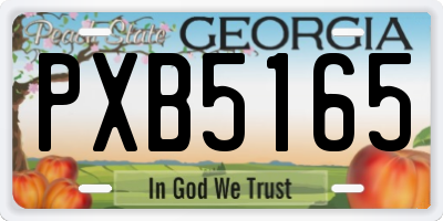 GA license plate PXB5165