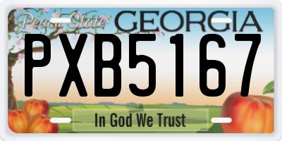 GA license plate PXB5167