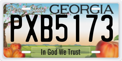 GA license plate PXB5173