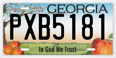 GA license plate PXB5181