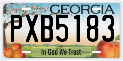 GA license plate PXB5183