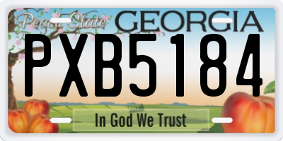 GA license plate PXB5184