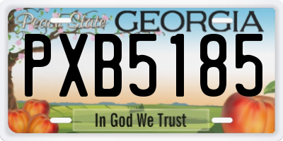 GA license plate PXB5185