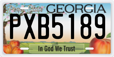 GA license plate PXB5189