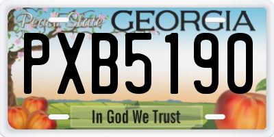 GA license plate PXB5190