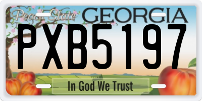 GA license plate PXB5197