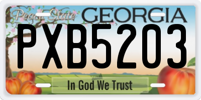 GA license plate PXB5203
