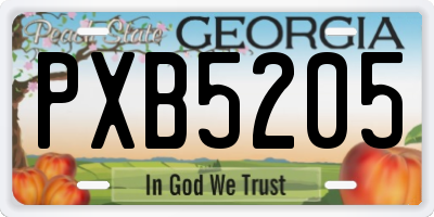 GA license plate PXB5205