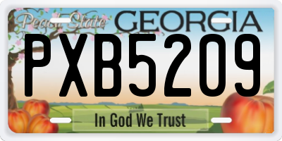 GA license plate PXB5209
