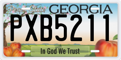GA license plate PXB5211