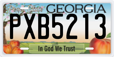 GA license plate PXB5213