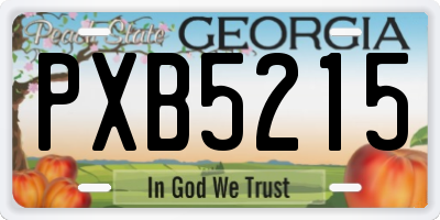 GA license plate PXB5215