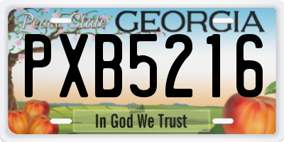 GA license plate PXB5216