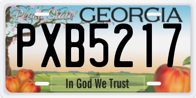 GA license plate PXB5217