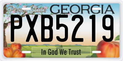 GA license plate PXB5219