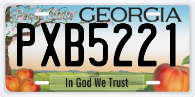 GA license plate PXB5221