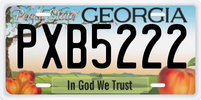 GA license plate PXB5222
