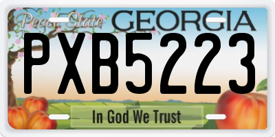 GA license plate PXB5223