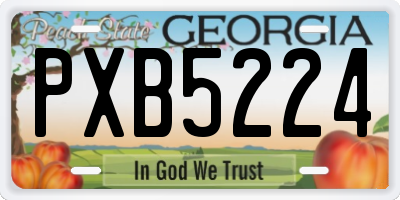 GA license plate PXB5224