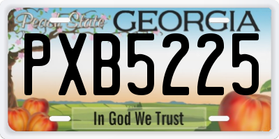 GA license plate PXB5225