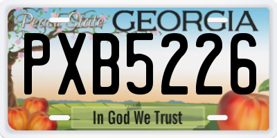 GA license plate PXB5226