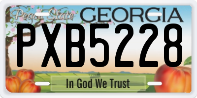 GA license plate PXB5228