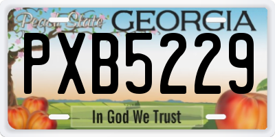 GA license plate PXB5229