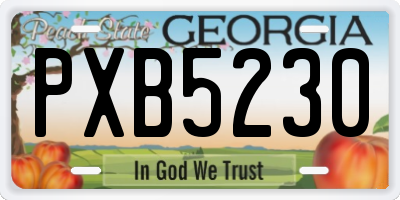 GA license plate PXB5230