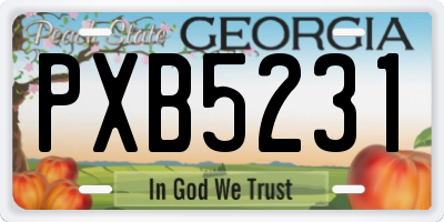 GA license plate PXB5231