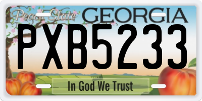 GA license plate PXB5233