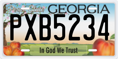 GA license plate PXB5234