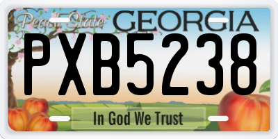 GA license plate PXB5238