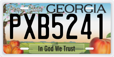 GA license plate PXB5241