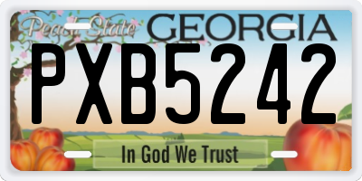 GA license plate PXB5242