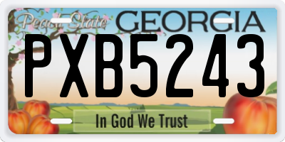 GA license plate PXB5243