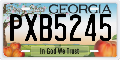 GA license plate PXB5245