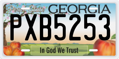 GA license plate PXB5253
